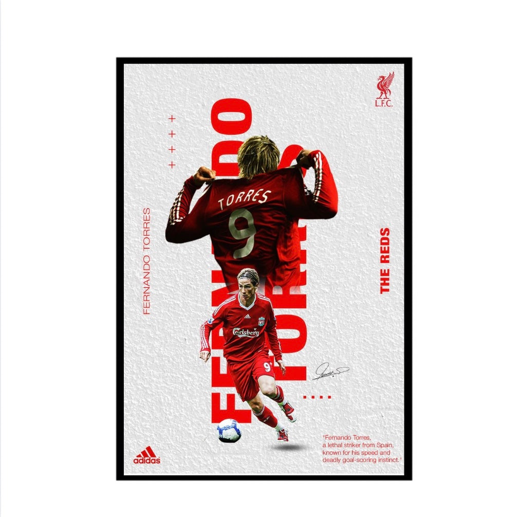 Fernando Torres Frame