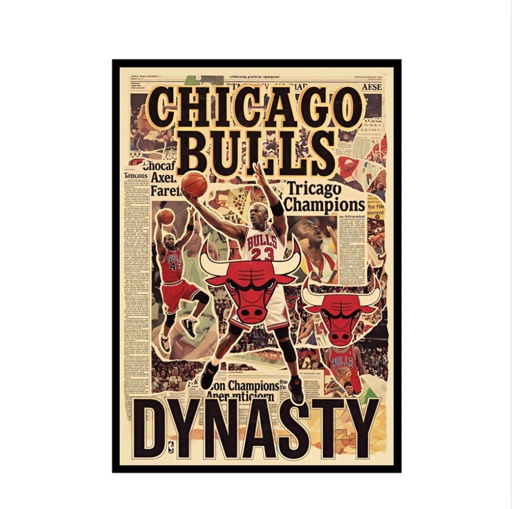 Chicago Bulls Frame
